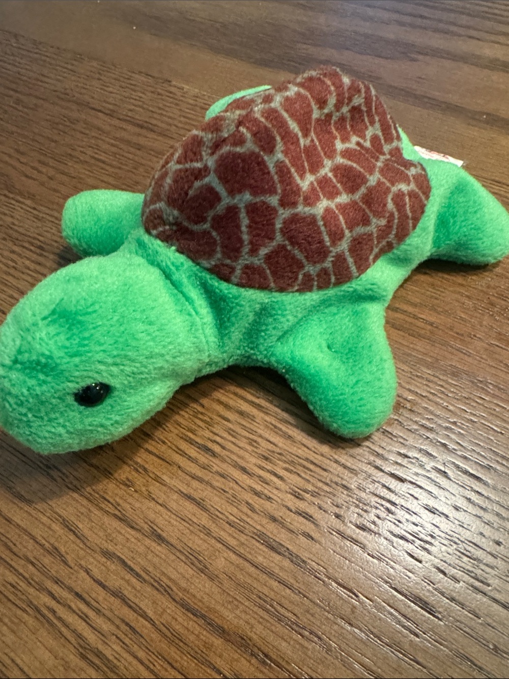 Plush Turtle Beanie Baby Speedy